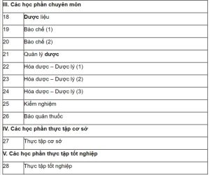 Các học phần chuyên môn và thực tập cơ sở trong khung chương trình đào tạo trung cấp Y Dược của trường Trung Cấp Y Dược Lê Hữu Trác