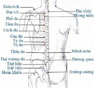 Bấm huyệt Y Học Cổ Truyền